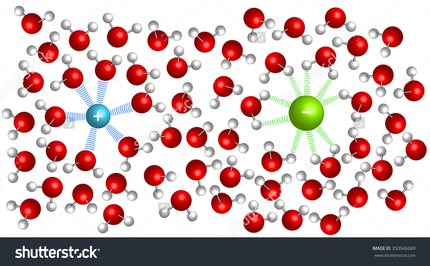 stock-photo-ion-dipole-interaction-of-electrolyte-in-aqueous-solution-350946689