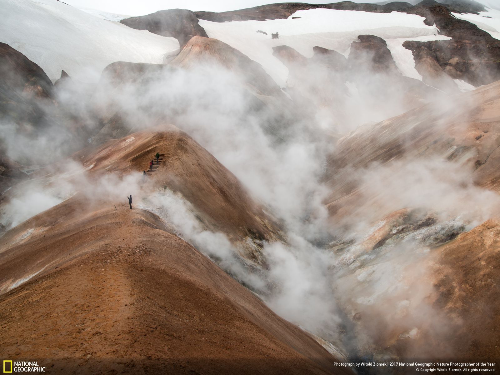 national-geographic-photographe-annee-animaux-nature-21 (1)