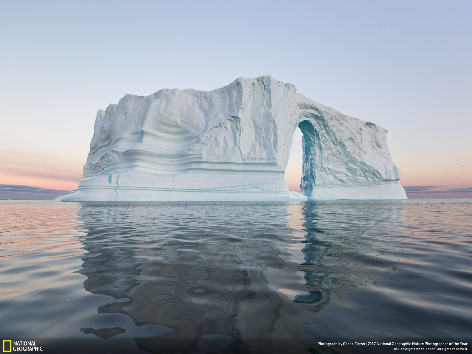 national-geographic-photographe-annee-animaux-nature-40