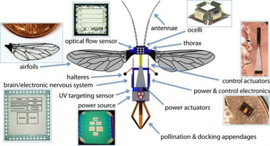 Robobee-schematic-e1363026488425